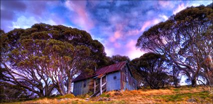 Cope Hut - VIC T (PBH3 00 34375)